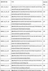 Figure BDA0000059233380000631