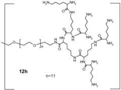Figure imgf000089_0001