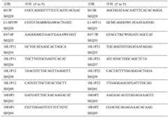 Figure BDA0001474648970000092