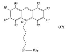 Figure JPOXMLDOC01-appb-C000033