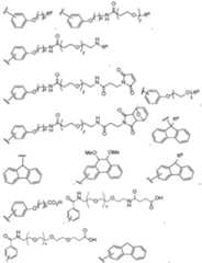 Figure imgf000024_0001