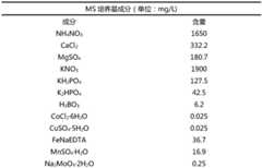 Figure BDA0002747500150000031