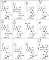 Figure BDA0003142399140001011