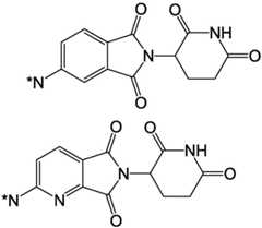 Figure GDA0003638934920001514