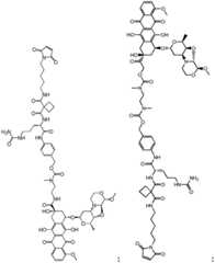 Figure FDA0002589091410000011