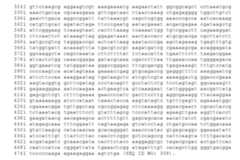 Figure imgf000041_0001