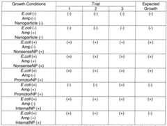 Figure imgf000056_0001