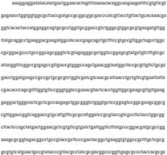 Figure PCTCN2021139177-appb-000016