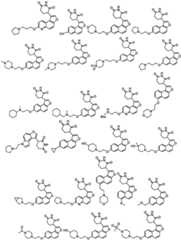 Figure FDA0003480931620000051