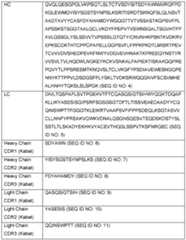 Figure imgf000020_0001