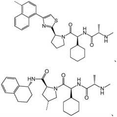 Figure GDA0003638934920001922