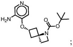 Figure BDA0001412716210003453