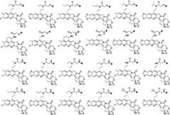 Figure PCTCN2022073822-appb-000348