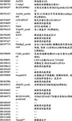 Figure BDA0000057170160000461