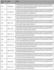 Figure BDA0002379404260001371