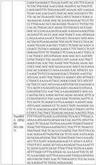 Figure BDA0004033970230005391