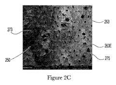 Figure 2021532945