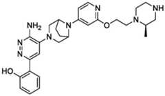 Figure BDA0004113777320001371