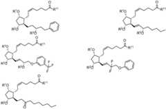 Figure BDA0002268634580001032