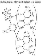 Figure imgf000052_0002