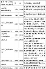 Figure BDA0001349734580001621