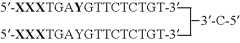Figure US07851453-20101214-C00015