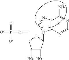 Figure US09675668-20170613-C00087