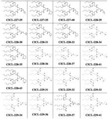 Figure imgf000069_0002