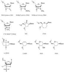 Figure imgf000030_0001