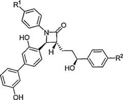 Figure S2006800249696C00101