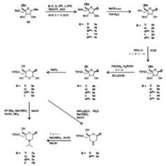 Figure 0007417529000045