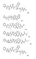 Figure G2009101493490D00891