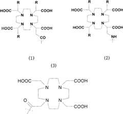 Figure G2007800458747D00711