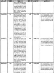 Figure BSA0000239808480001091