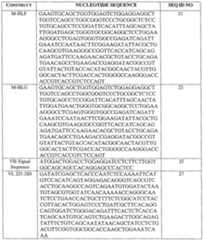 Figure imgf000053_0001