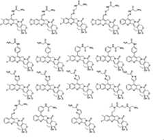 Figure PCTCN2022073822-appb-000385