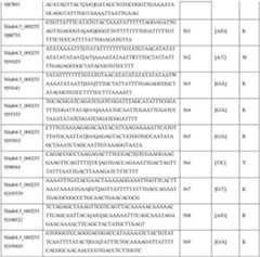 Figure DEST_PATH_IMAGE042