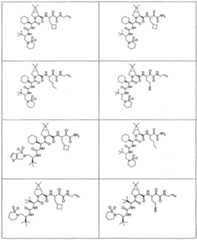 Figure imgf000265_0001