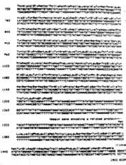 Figure imgf000064_0001