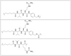 Figure BDA0002889616220000383