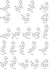 Figure FDA0001964607630000141