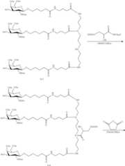 Figure US11896674-20240213-C00079