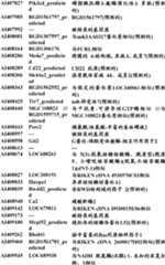 Figure BDA0000057170160000951