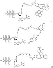 Figure BDA0003670511740001541