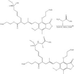 Figure US07427636-20080923-C00171