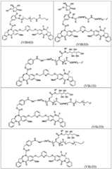 Figure BDA0003285627320001051