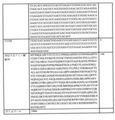 Figure 0007438604000011