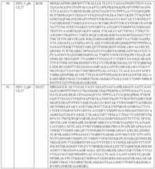 Figure imgf000047_0001