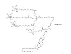Figure imgf000177_0002