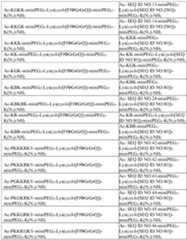 Figure imgf000159_0001